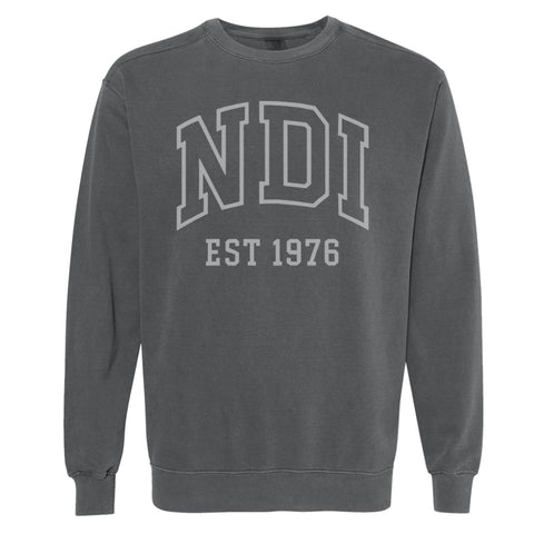 NDI Collegiate Sweatshirt - Dark Gray Unisex Sweatshirt - NDI