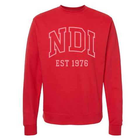 NDI Collegiate Sweatshirt - Red Unisex Sweatshirt - NDI