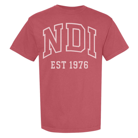 NDI Collegiate Logo- Red Unisex tee - NDI