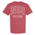 NDI Collegiate Logo- Red Unisex tee - NDI